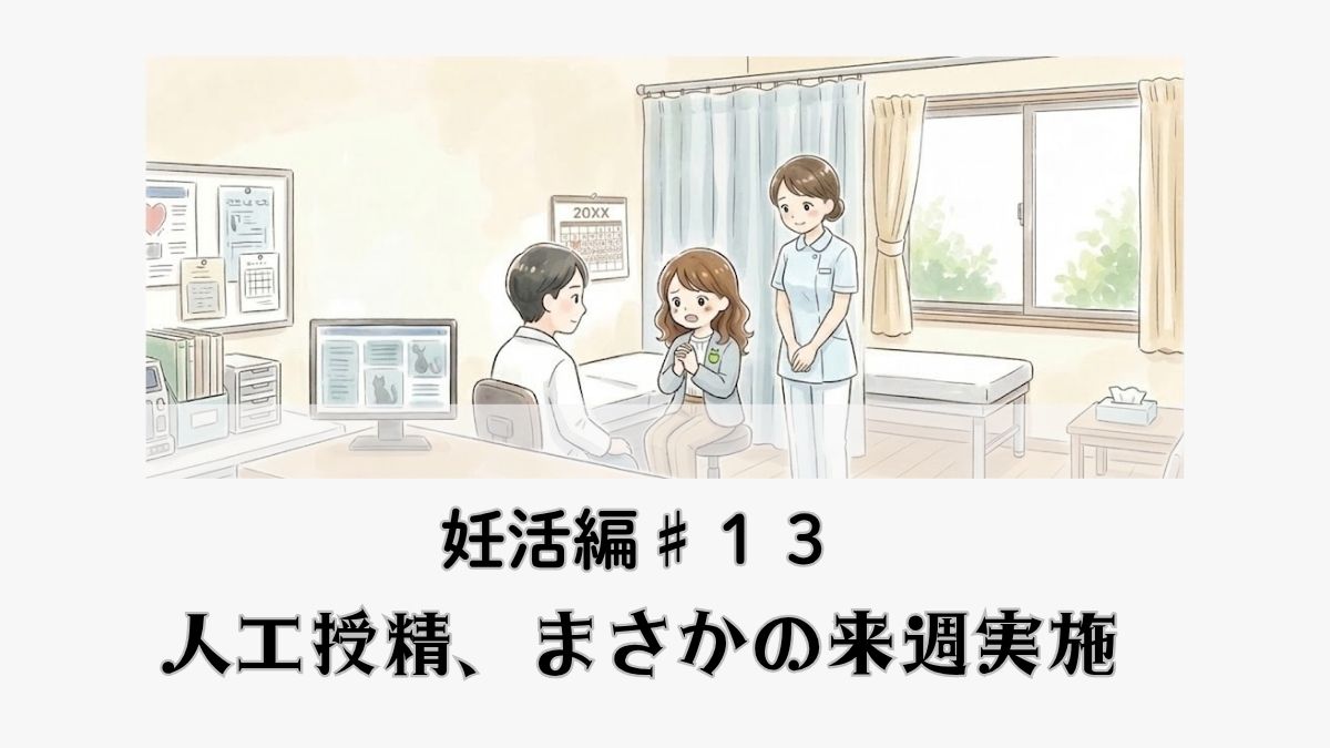 第13話： 予想よりも早いタイミングでステップアップが決まり、人工授精に臨む驚きを描いた体験談マンガ