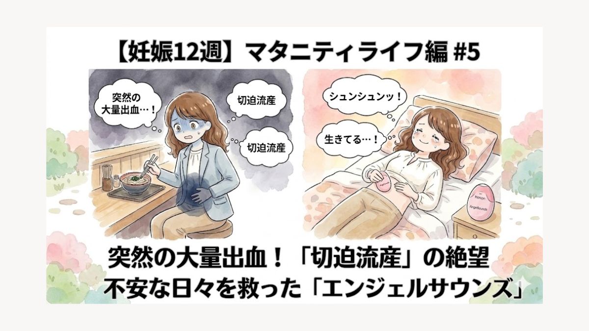 自身のマタニティライフ12週目の記録を綴ったブログ画像